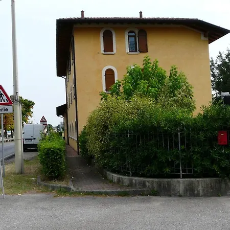 Le Piante